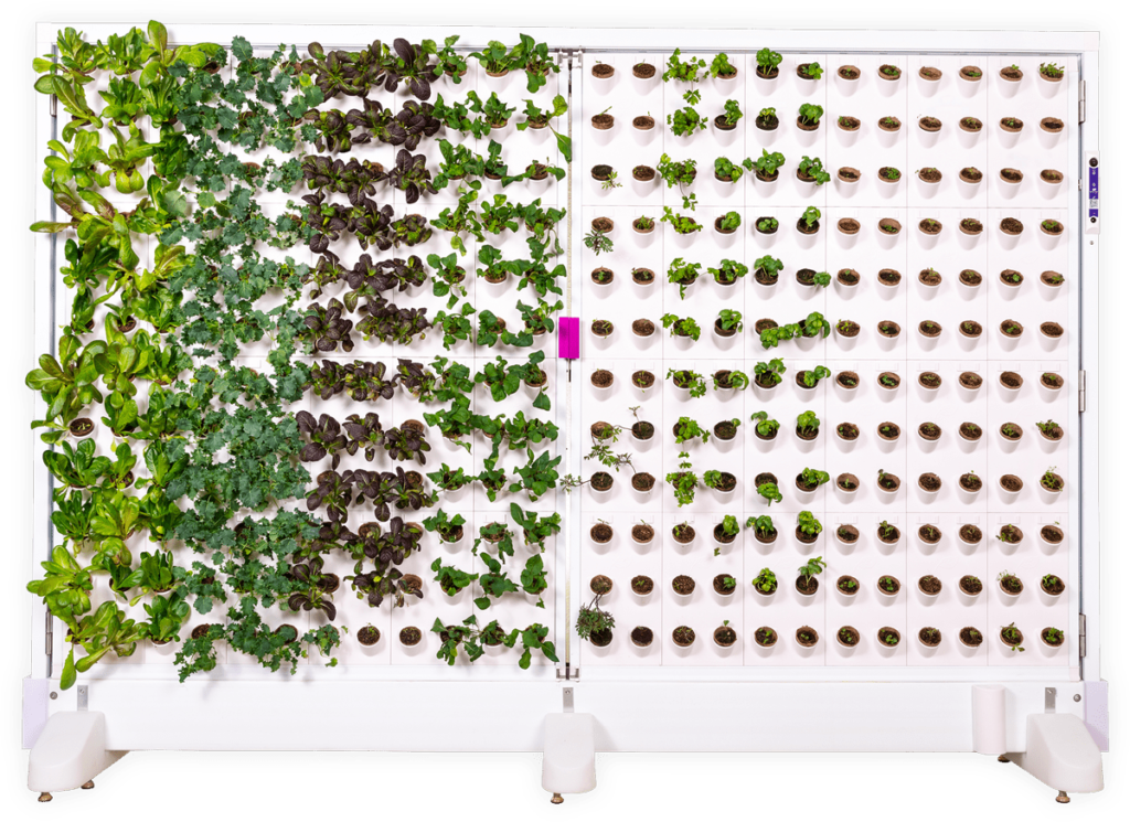 Harvest Wall from Harvest Today-min