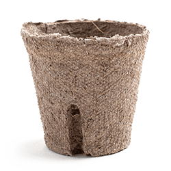 single peat cup