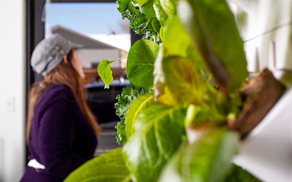 woman looking at the crops planted in the Harvest Wall