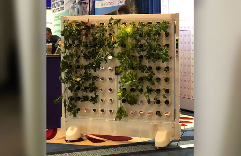 Double-Sided Double Door Harvest Wall with 108 Ports