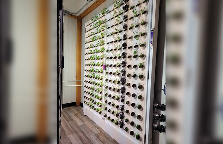 Single-Sided Double Door Harvest Wall with 240 Ports