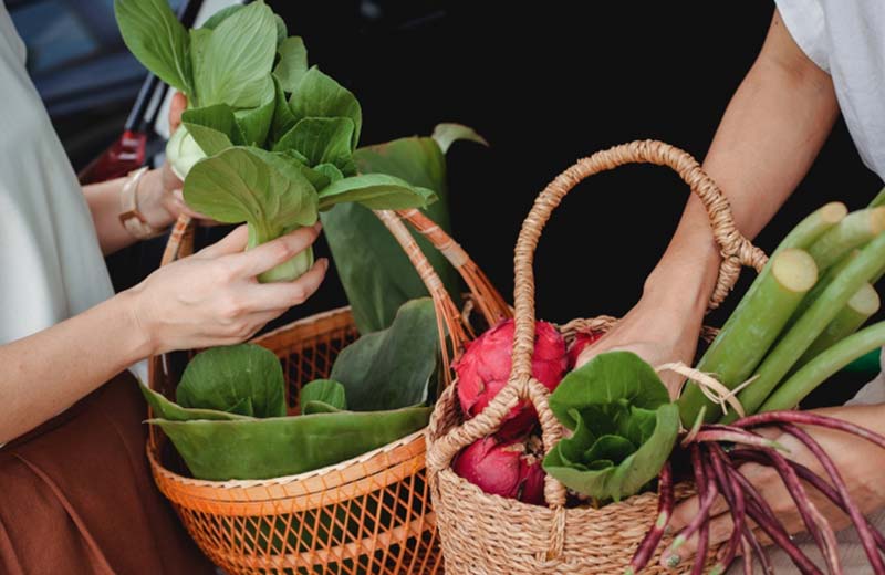 fresh produce bought from grocery stores