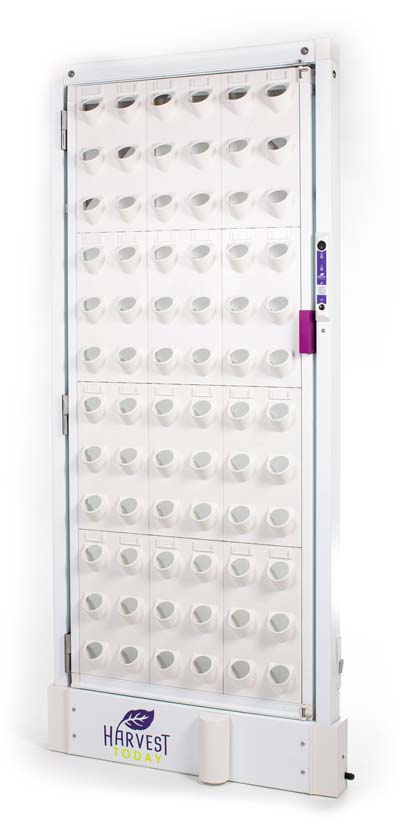 3 by 4 Single Sided Single Door Harvest Wall