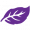 Harvest Today_favicon